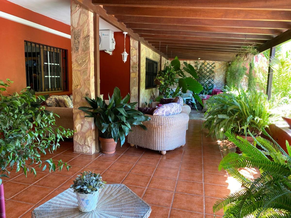 Casa Lazaro, 特格斯特 外观 照片