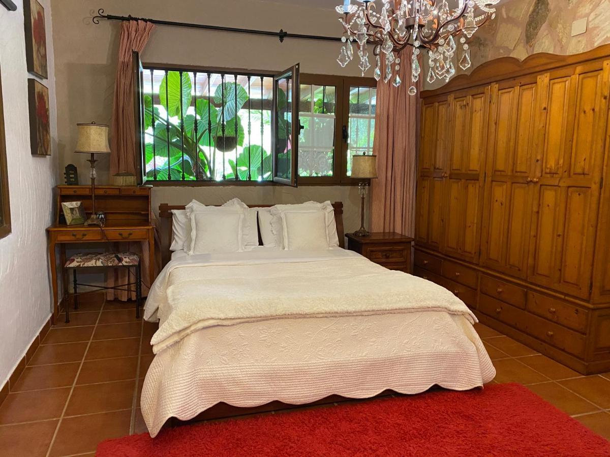 Casa Lazaro, 特格斯特 外观 照片
