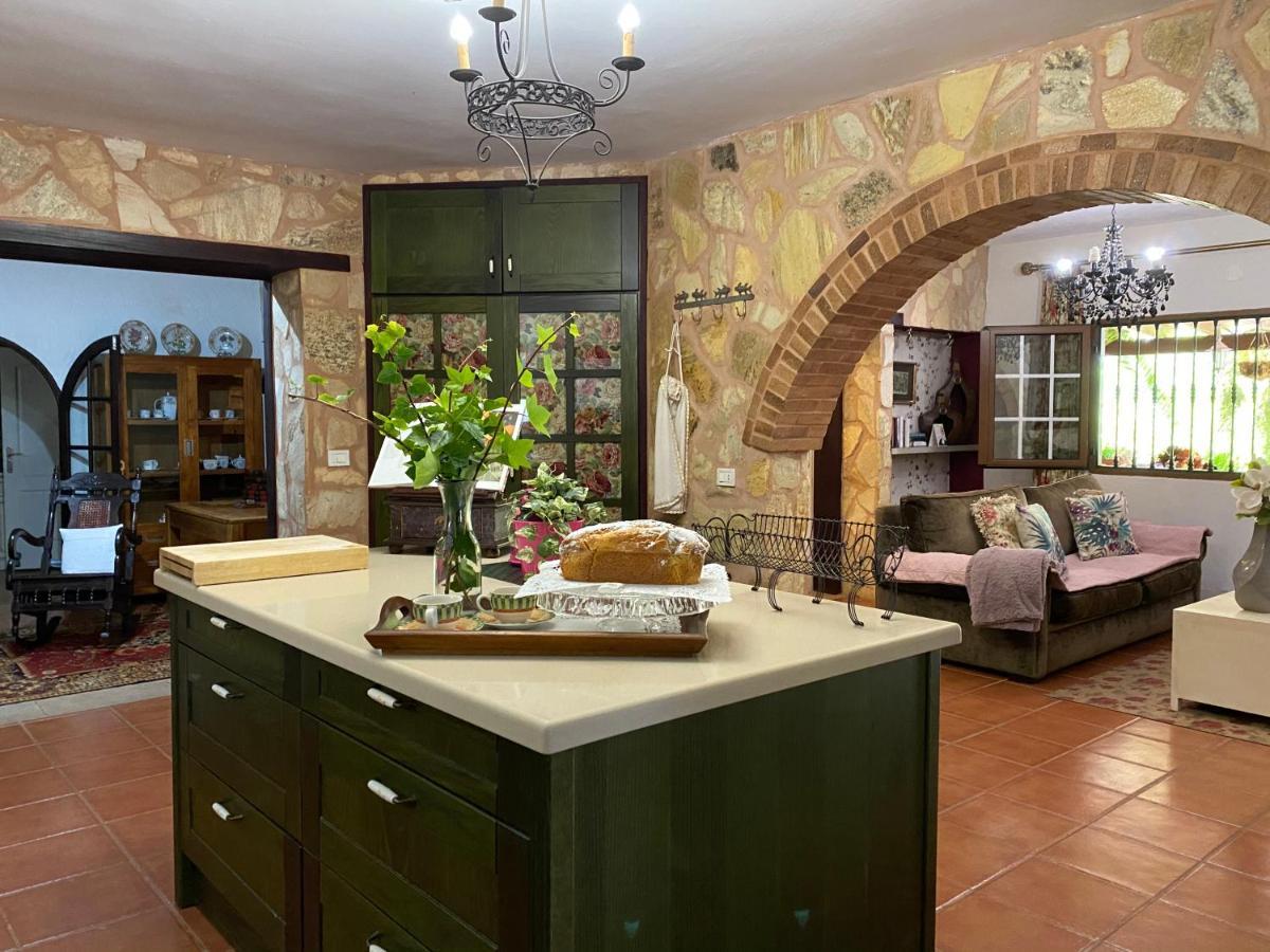 Casa Lazaro, 特格斯特 外观 照片