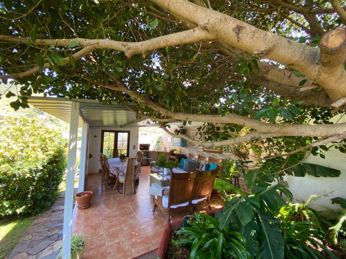 Casa Lazaro, 特格斯特 外观 照片