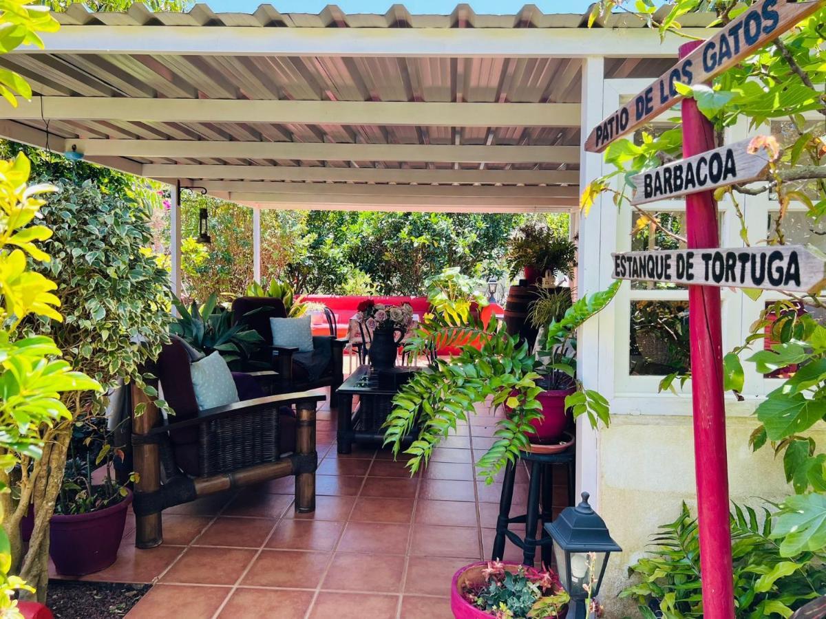 Casa Lazaro, 特格斯特 外观 照片